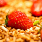 Strawberry Fragoline Cream – Sweet & Fresh!